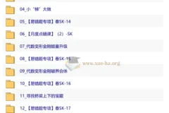【2026初二春下】数理思维自主学习·SK-王丁玉