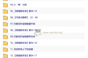 【2026初二春下】数理思维自主学习·SK-王丁玉