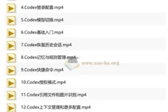AI Codex 企业级应用实战