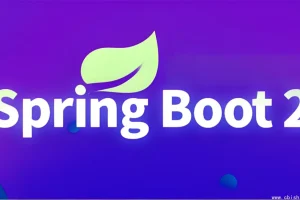 Spring Boot 2 核心技术与响应式编程（含源码与课件）