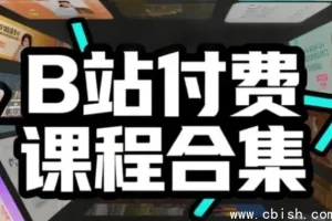 B站付费课程大全合集