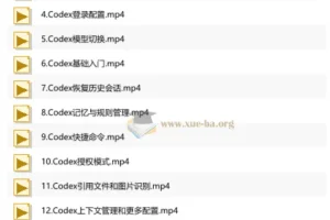 AI Codex 企业级应用实战