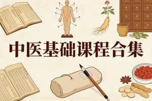 中医基础课程全集