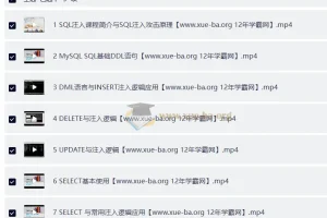 MySQL高级黑客 MySQL注入攻防技术内幕-第一部分视频课程