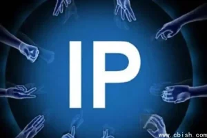 打造专业IP的实战指南