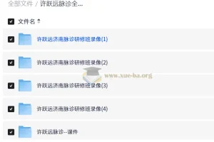 许跃远脉诊全集｜2025脉学大师课程（24集视频+脉象图解+诊断技巧）
