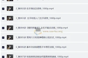 胡sir吉他综合教程 入门到即兴(完结版150节)
