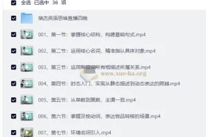 瑞杰老师 30 天英语实战训练营