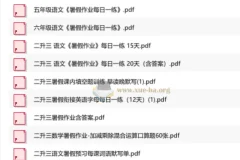 小学各年级暑假作业合集
