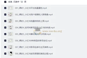 AI做小红书矩阵推广系统