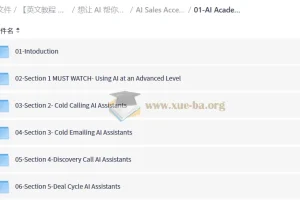 【英文中字】 AI 帮你搞销售 CRM自动化