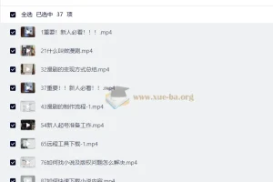 AI漫剧制作全流程实操 0基础从零入门