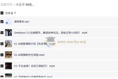 小王子 AI视频从0到1系统课