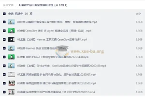 AI编程产品出海实战领航计划（从 0 到 1）