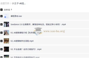 小王子 AI视频从0到1系统课