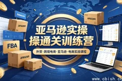 2025-2026老陈聊跨境：亚马逊实操通关训练营（2025年3月更新）