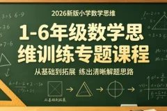 艾麦思1-6 年级小学数学思维视频课 300讲视频合集