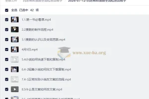 闫老师AI漫剧全流程运营教学