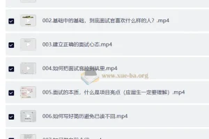 陆总监的深度面试辅导简历分析课