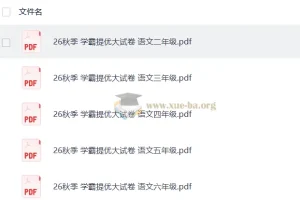 2027 经纶学霸•5星学霸提优大试卷 （2-6年级语文上）