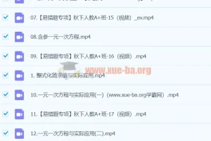 【2024A+ 秋季班 下 】初一数学培训班（徐丝雨）