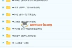 最全0基础钢琴学习视频教程，全方位自学入门电子琴初中高级别课程110G