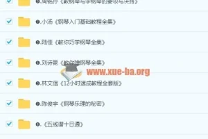 最全0基础钢琴学习视频教程，全方位自学入门电子琴初中高级别课程110G