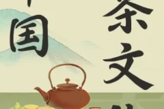 茶之道：中国茶文化必修课【完结】