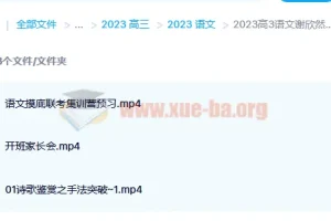 2023高三高考语文谢欣然 高考复读 暑假班 秋季班更新3讲