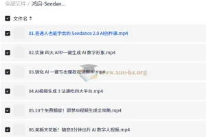 鸿启 Seedance2.0超级个体训练营