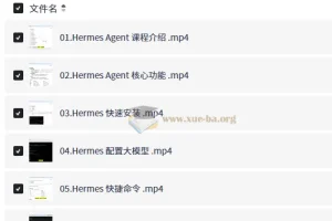 Hermes Agent智能体全维度实战课程