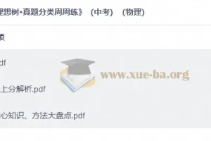 2027中考物理 理想树•真题分类周周