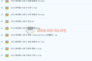 2024高中全科 微专题·小练习