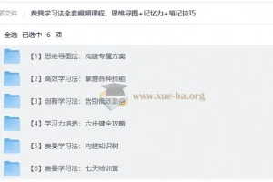 费曼学习法全套视频课程，思维导图+记忆力+笔记技巧